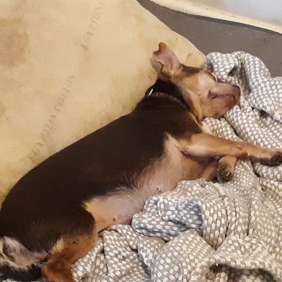 Meet your Posher, Jason - Picture 3 of 4